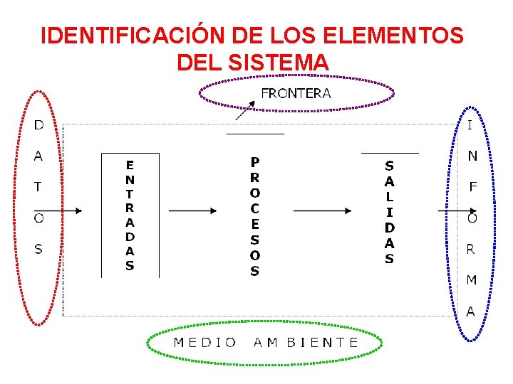 IDENTIFICACIÓN DE LOS ELEMENTOS DEL SISTEMA 