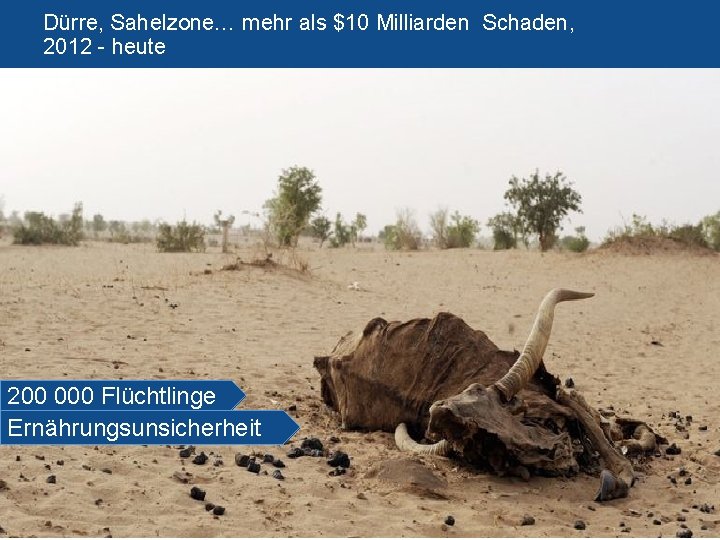 Dürre, Sahelzone… mehr als $10 Milliarden Schaden, 2012 - heute 200 000 Flüchtlinge Ernährungsunsicherheit