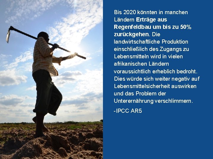 Bis 2020 könnten in manchen Ländern Erträge aus Regenfeldbau um bis zu 50% zurückgehen.