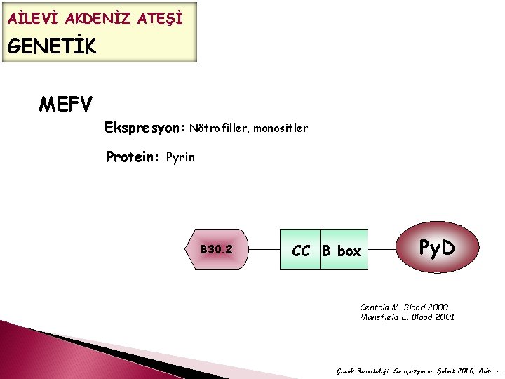 AİLEVİ AKDENİZ ATEŞİ GENETİK MEFV Ekspresyon: Nötrofiller, monositler Protein: Pyrin B 30. 2 CC