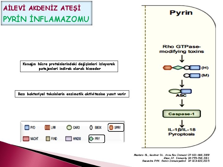 AİLEVİ AKDENİZ ATEŞİ PYRİN İNFLAMAZOMU Konağın hücre proteinlerindeki değişimleri izleyerek patojenleri indirek olarak hisseder