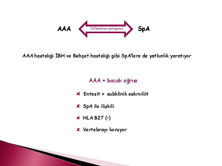 AAA İnflamatuar patogenez Sp. A AAA hastalığı İBH ve Behçet hastalığı gibi Sp. A’lere