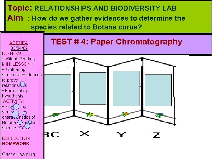 Topic: RELATIONSHIPS AND BIODIVERSITY LAB Aim : How do we gather evidences to determine