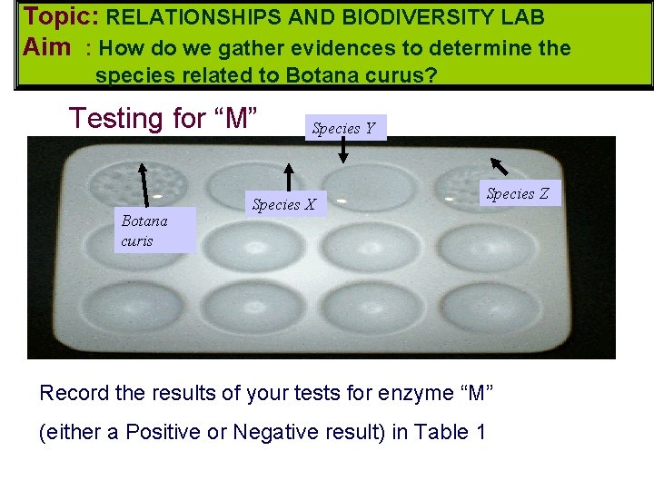 Topic: RELATIONSHIPS AND BIODIVERSITY LAB Aim : How do we gather evidences to determine