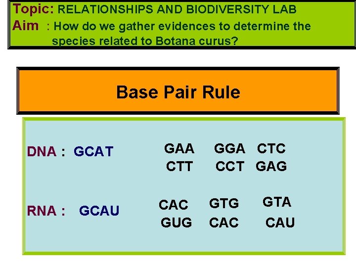 Topic: RELATIONSHIPS AND BIODIVERSITY LAB Aim : How do we gather evidences to determine