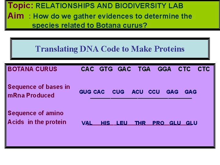 Topic: RELATIONSHIPS AND BIODIVERSITY LAB Aim : How do we gather evidences to determine
