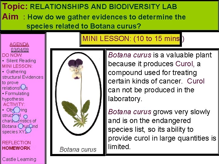 Topic: RELATIONSHIPS AND BIODIVERSITY LAB Aim : How do we gather evidences to determine