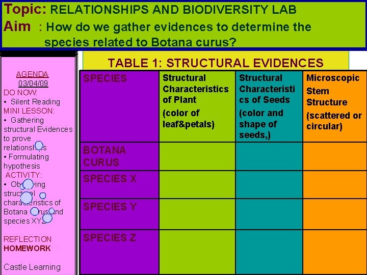 Topic: RELATIONSHIPS AND BIODIVERSITY LAB Aim : How do we gather evidences to determine