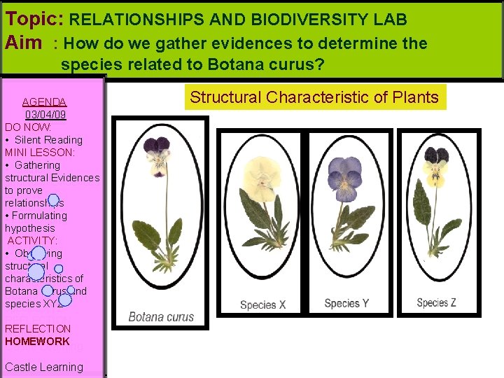 Topic: RELATIONSHIPS AND BIODIVERSITY LAB Aim : How do we gather evidences to determine