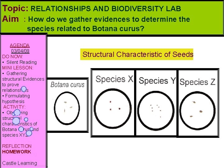 Topic: RELATIONSHIPS AND BIODIVERSITY LAB Aim : How do we gather evidences to determine