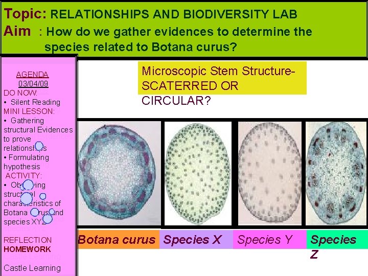 Topic: RELATIONSHIPS AND BIODIVERSITY LAB Aim : How do we gather evidences to determine