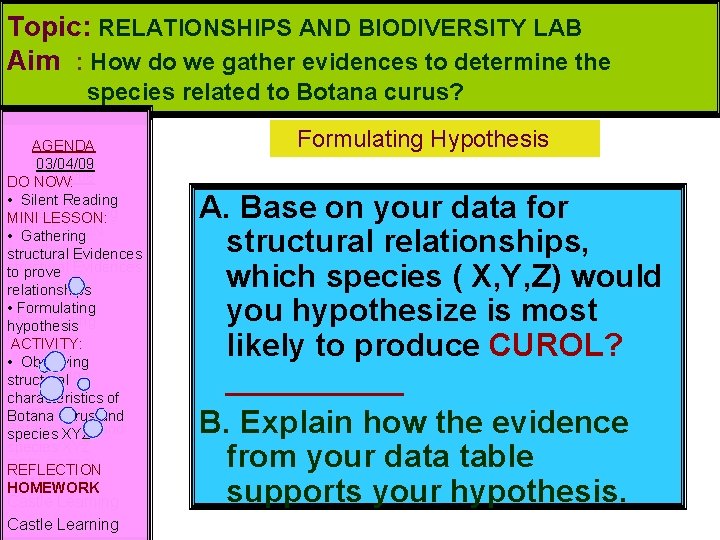 Topic: RELATIONSHIPS AND BIODIVERSITY LAB Aim : How do HYPOTHESIZE: we gather evidences to