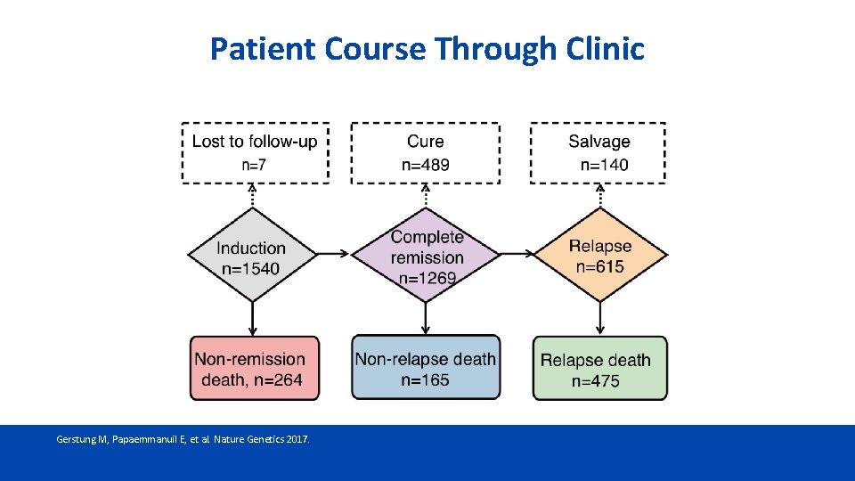 Patient Course Through Clinic Gerstung M, Papaemmanuil E, et al. Nature Genetics 2017. 