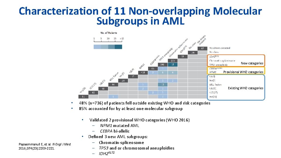 x Characterization of 11 Non-overlapping Molecular Subgroups in AML New categories Provisional WHO categories