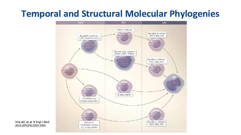 Temporal and Structural Molecular Phylogenies Viny AD, et al. N Engl J Med. 2016;