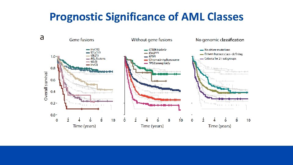 Prognostic Significance of AML Classes 