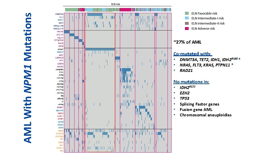 AML With NPM 1 Mutations ~27% of AML Co-mutated with: • • • DNMT