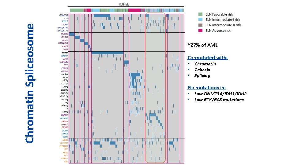 Chromatin Spliceosome ~27% of AML Co-mutated with: • • • Chromatin Cohesin Splicing No