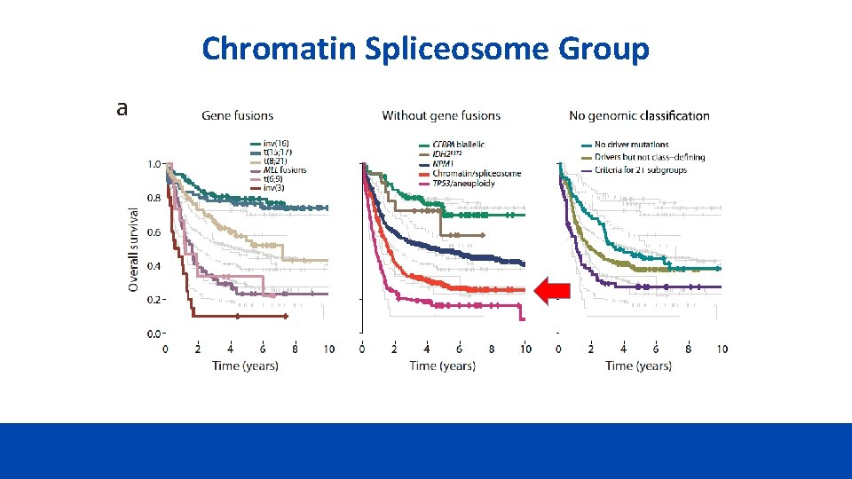 Chromatin Spliceosome Group 