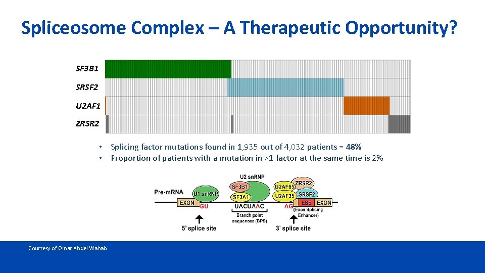Splicing factor mutations are disease defining in MDS Spliceosome Complex – A Therapeutic Opportunity?