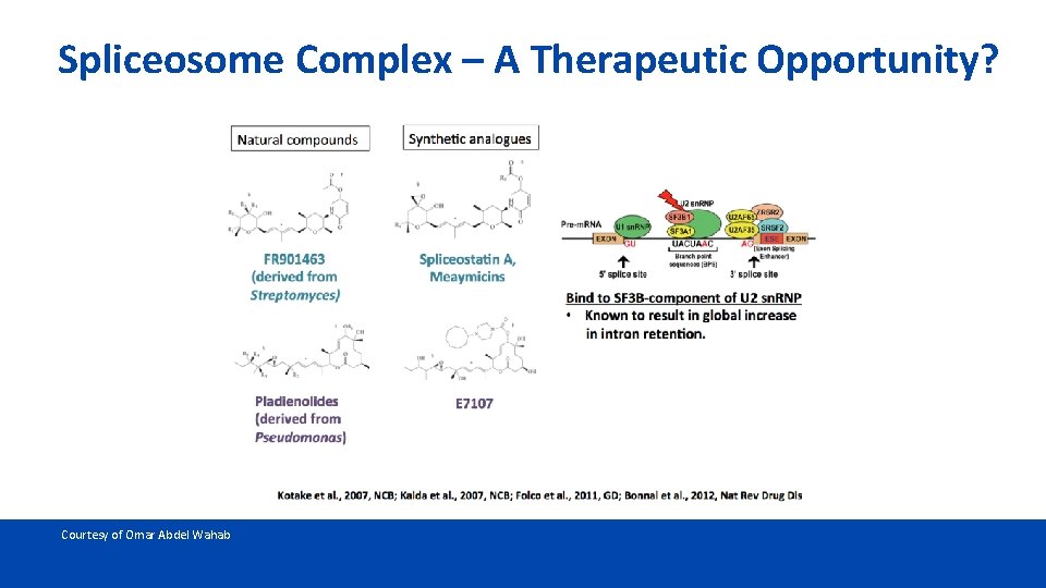 Spliceosome Complex – A Therapeutic Opportunity? Courtesy of Omar Abdel Wahab 