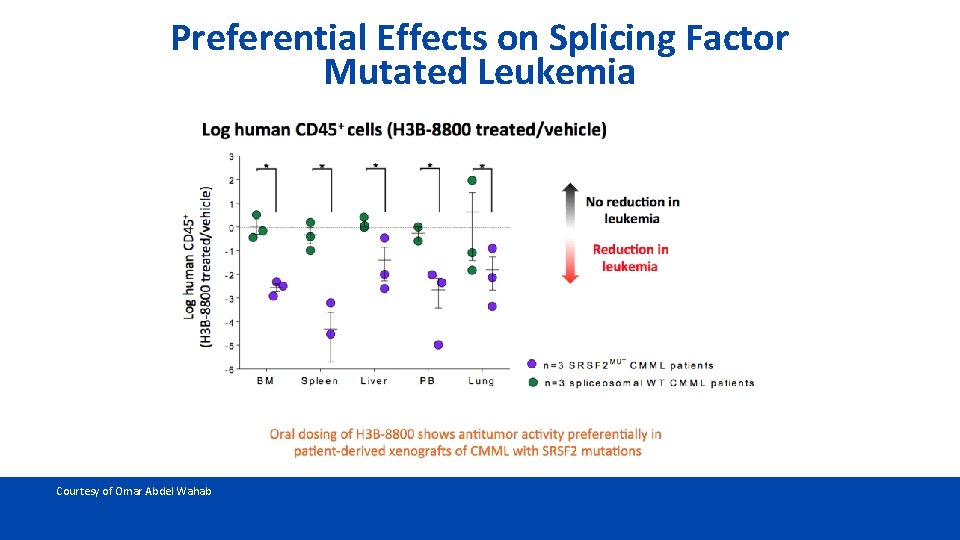 Preferential Effects on Splicing Factor Mutated Leukemia Courtesy of Omar Abdel Wahab 