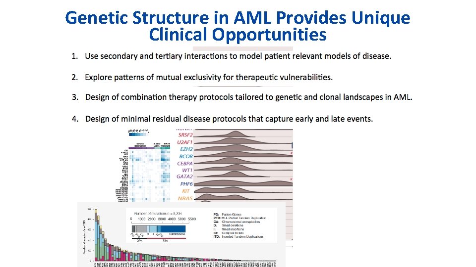 Genetic Structure in AML Provides Unique Clinical Opportunities 