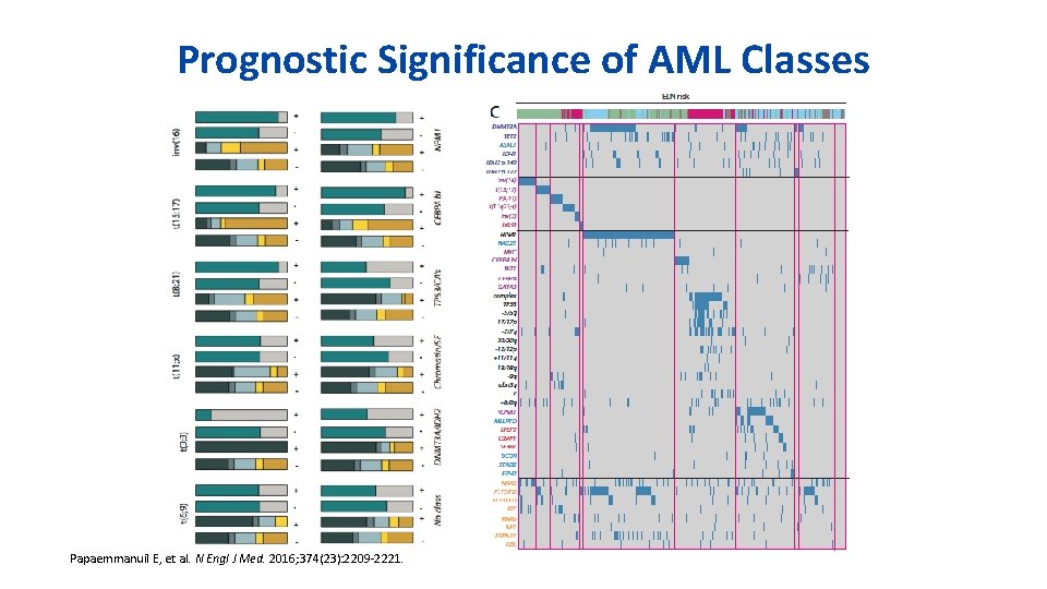 Prognostic Significance of AML Classes Papaemmanuil E, et al. N Engl J Med. 2016;