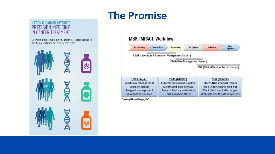 The Promise Translating recent cancer genomic findings to: Understand disease biology Inform clinical practice