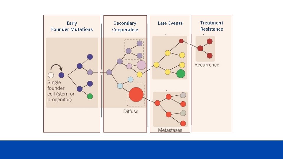Early Founder Mutations Secondary Cooperative Late Events Treatment Resistance 