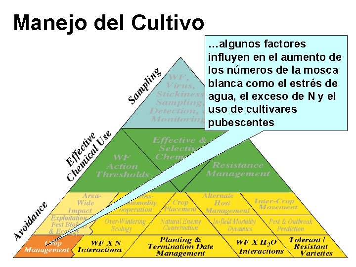 Manejo del Cultivo …algunos factores influyen en el aumento de los números de la