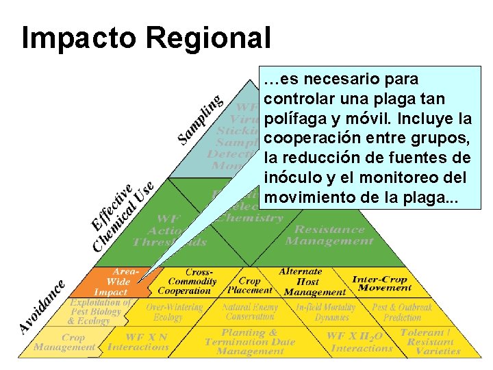 Impacto Regional …es necesario para controlar una plaga tan polífaga y móvil. Incluye la