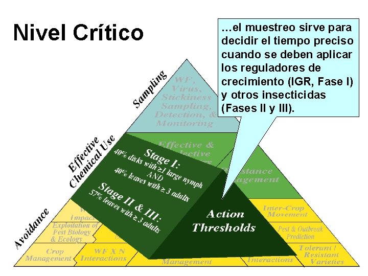 Nivel Crítico …el muestreo sirve para decidir el tiempo preciso cuando se deben aplicar