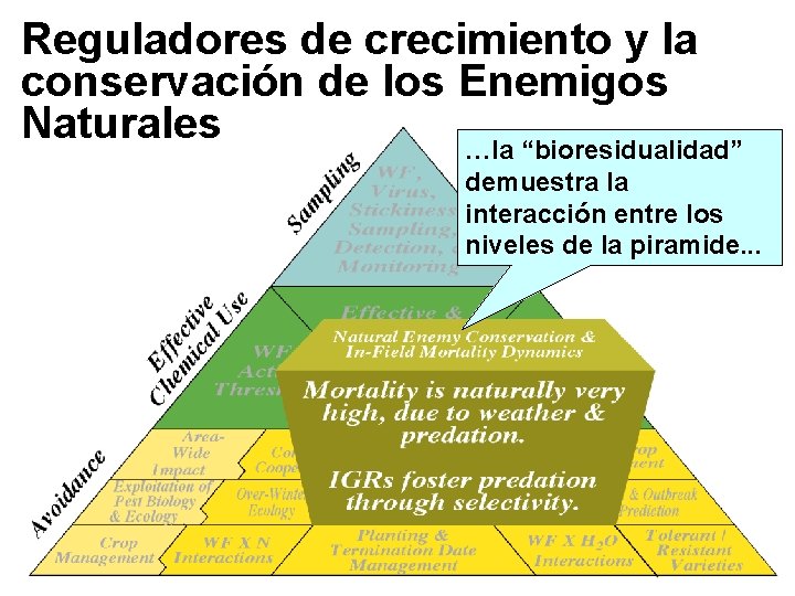 Reguladores de crecimiento y la conservación de los Enemigos Naturales …la “bioresidualidad” demuestra la