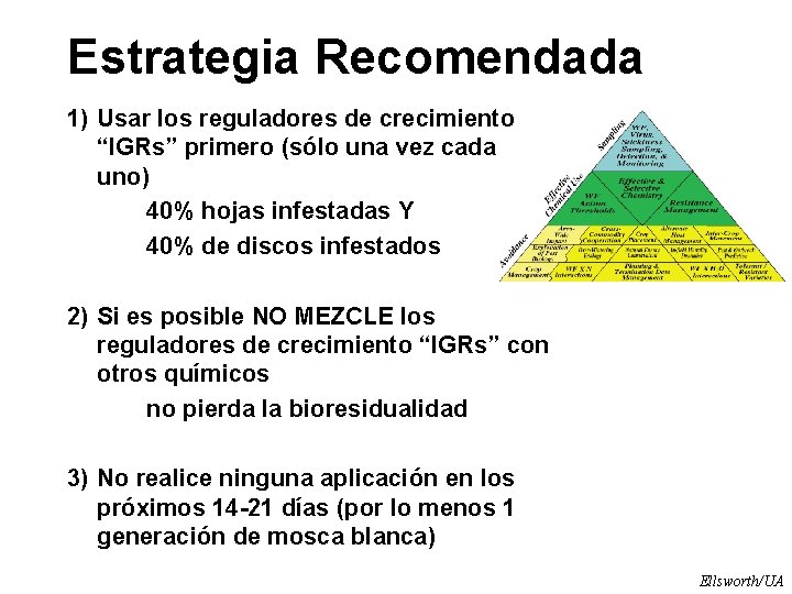 Estrategia Recomendada 1) Usar los reguladores de crecimiento “IGRs” primero (sólo una vez cada