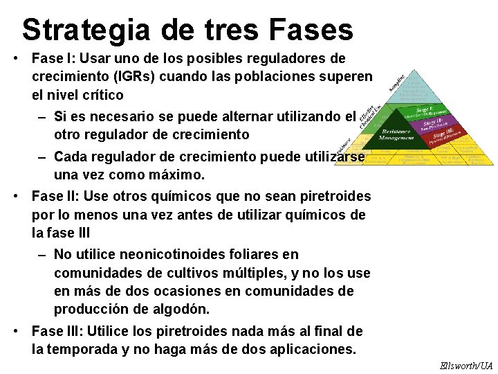 Strategia de tres Fases • Fase I: Usar uno de los posibles reguladores de