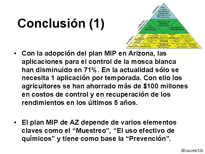 Conclusión (1) • Con la adopción del plan MIP en Arizona, las aplicaciones para