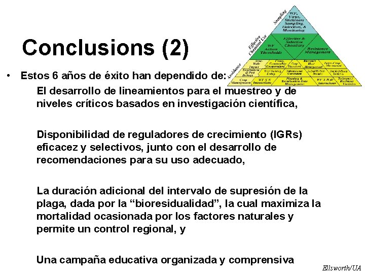 Conclusions (2) • Estos 6 años de éxito han dependido de: El desarrollo de