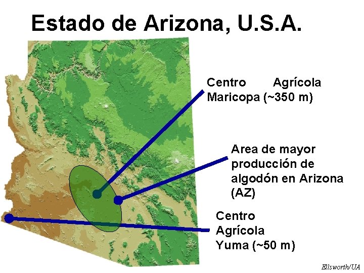 Estado de Arizona, U. S. A. Centro Agrícola Maricopa (~350 m) Area de mayor
