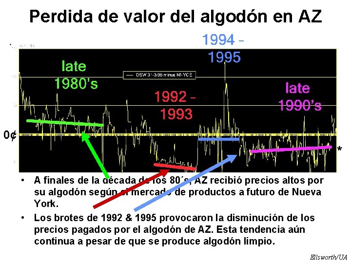 Perdida de valor del algodón en AZ 0¢ • A finales de la década