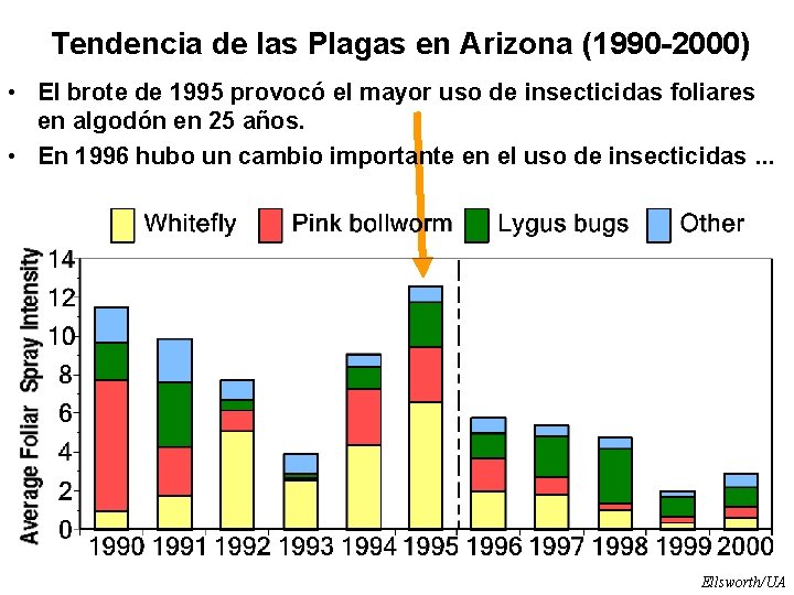 Tendencia de las Plagas en Arizona (1990 -2000) • El brote de 1995 provocó