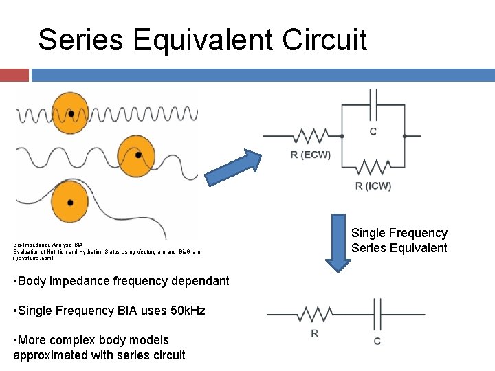 Series Equivalent Circuit Bio-Impedance Analysis BIA Evaluation of Nutrition and Hydration Status Using Vectorgram