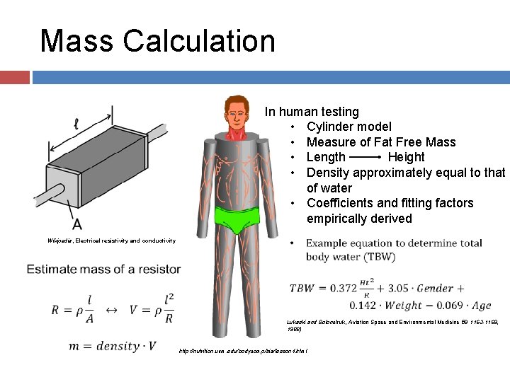 Mass Calculation In human testing • Cylinder model • Measure of Fat Free Mass