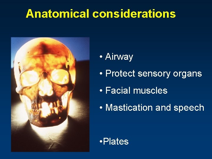 Anatomical considerations • Airway • Protect sensory organs • Facial muscles • Mastication and