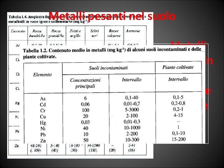 Metalli pesanti nel suolo Metalli pesanti in alcune tipologie di rocce 