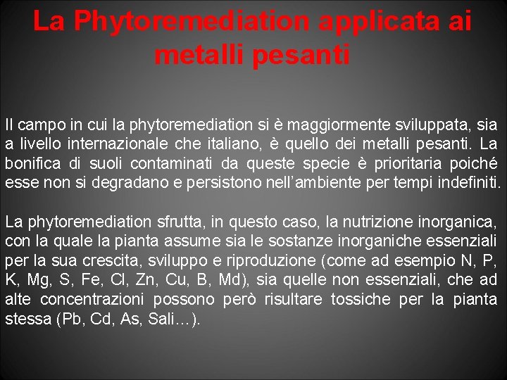 La Phytoremediation applicata ai metalli pesanti Il campo in cui la phytoremediation si è