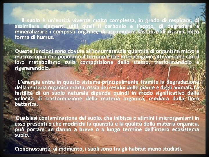 Il suolo è un’entità vivente molto complessa, in grado di respirare, di assimilare elementi