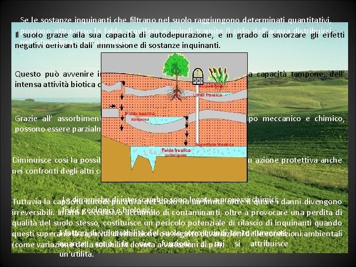 Se le sostanze inquinanti che filtrano nel suolo raggiungono determinati quantitativi, attraverso la falda