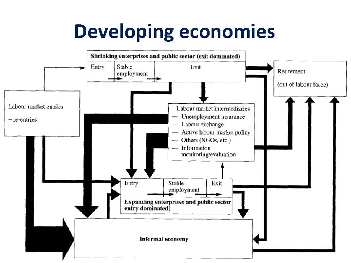 Developing economies 