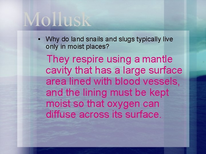 Mollusk • Why do land snails and slugs typically live only in moist places?
